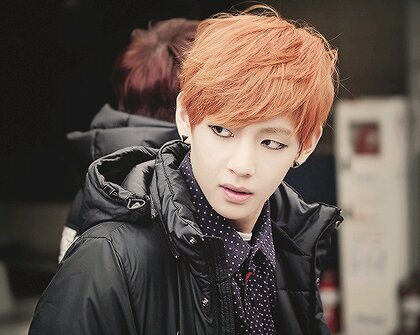 BTS©1995Liner