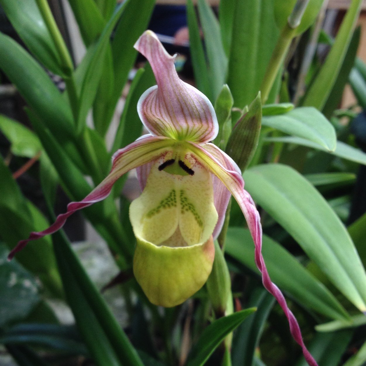 Jenfrogger19's profile picture. 