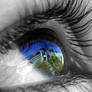 italoyam800's profile picture. 