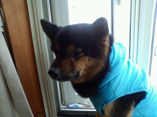 arupin_na's profile picture. 