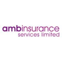 ambinsurance(@ambinsurance) 's Twitter Profile Photo