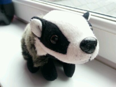 Disgruntled badger turfed out of the sett by a UK government gone mad; rising up & fighting back at Austerity Britain for the good of the masses.