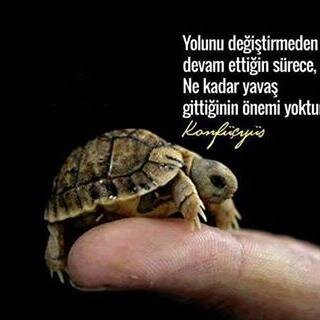 http://t.co/WjzC665B73