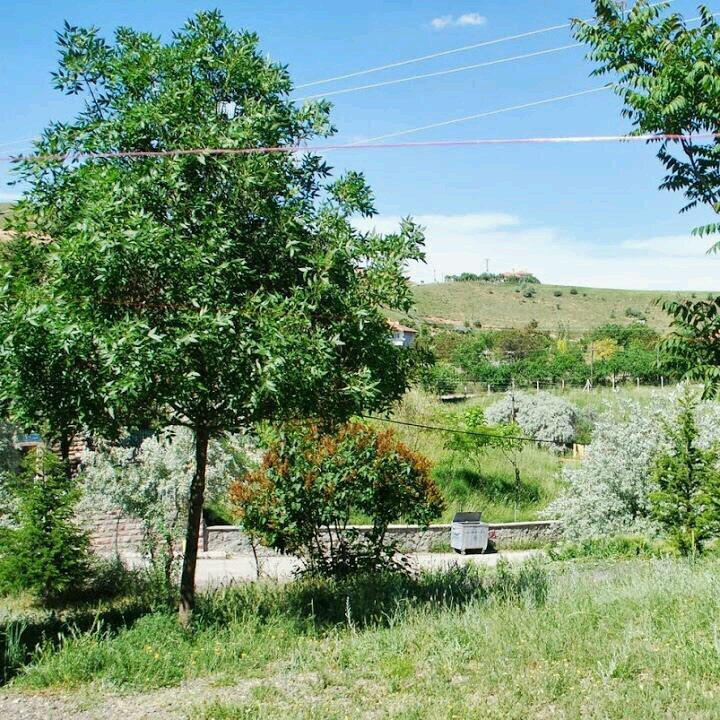 serdarersan144's profile picture. 