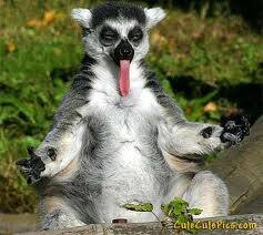 Funny stuff to pass the time!
