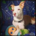 Amy redman - @AmaliaGonzalezC - Twitter