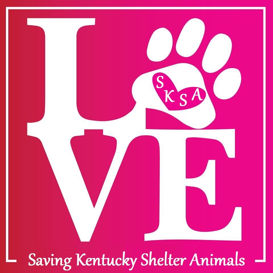 Saving Kentucky Shelter Animals has been created to connect rescues/adopters with #shelter #pets to increase state-wide save rates. #Kentucky #dogs #cats