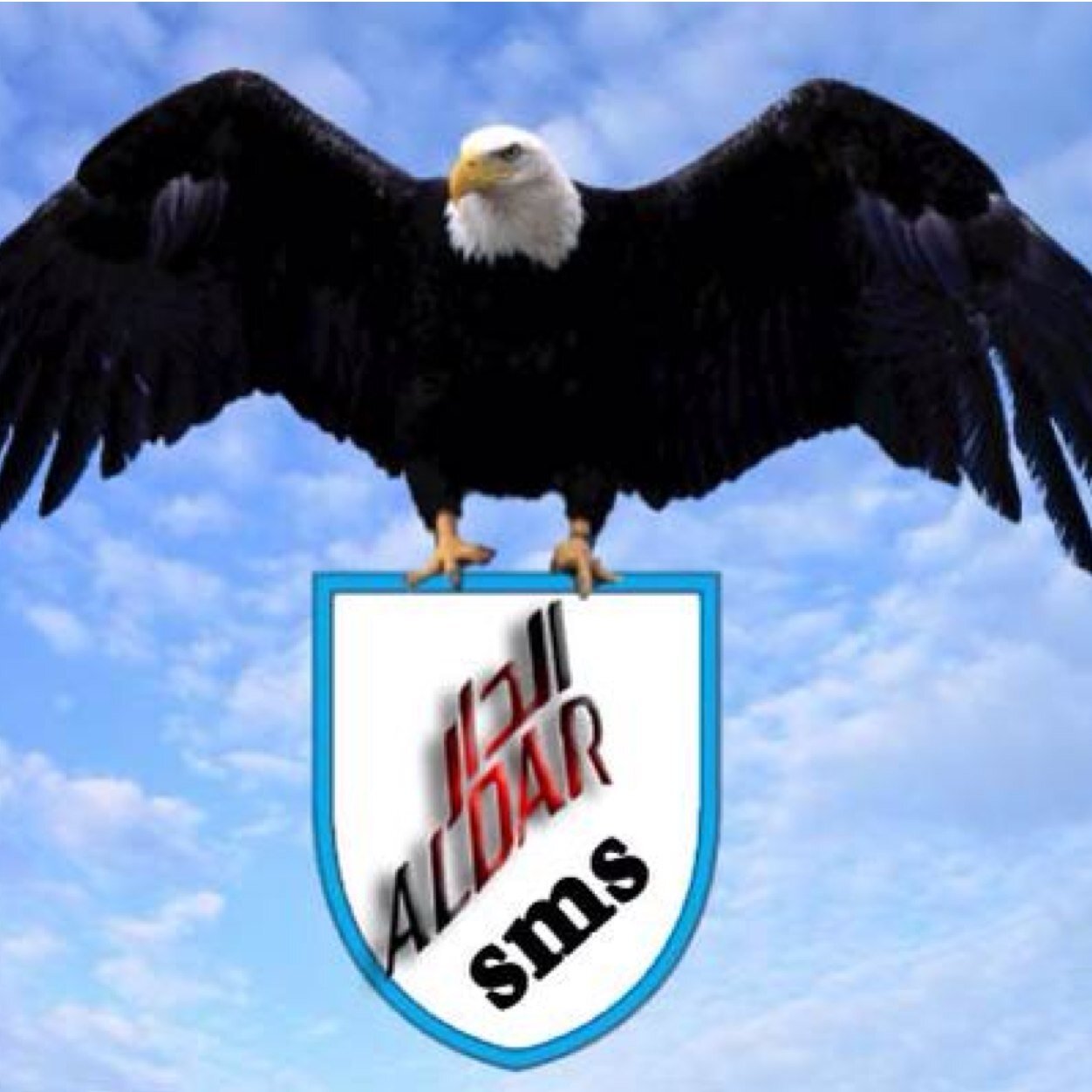 almutiri_sms's profile picture. ننشر المناسبات مجاناً علي تويتر والانستقرام ولدينا ارقام قبيلة مطير على مستوى الكويت والمفاجأة لدينا اكثر من ربع مليون مشترك بالواتس اب للاستفسار٦٥٠٩٩٦٦٢