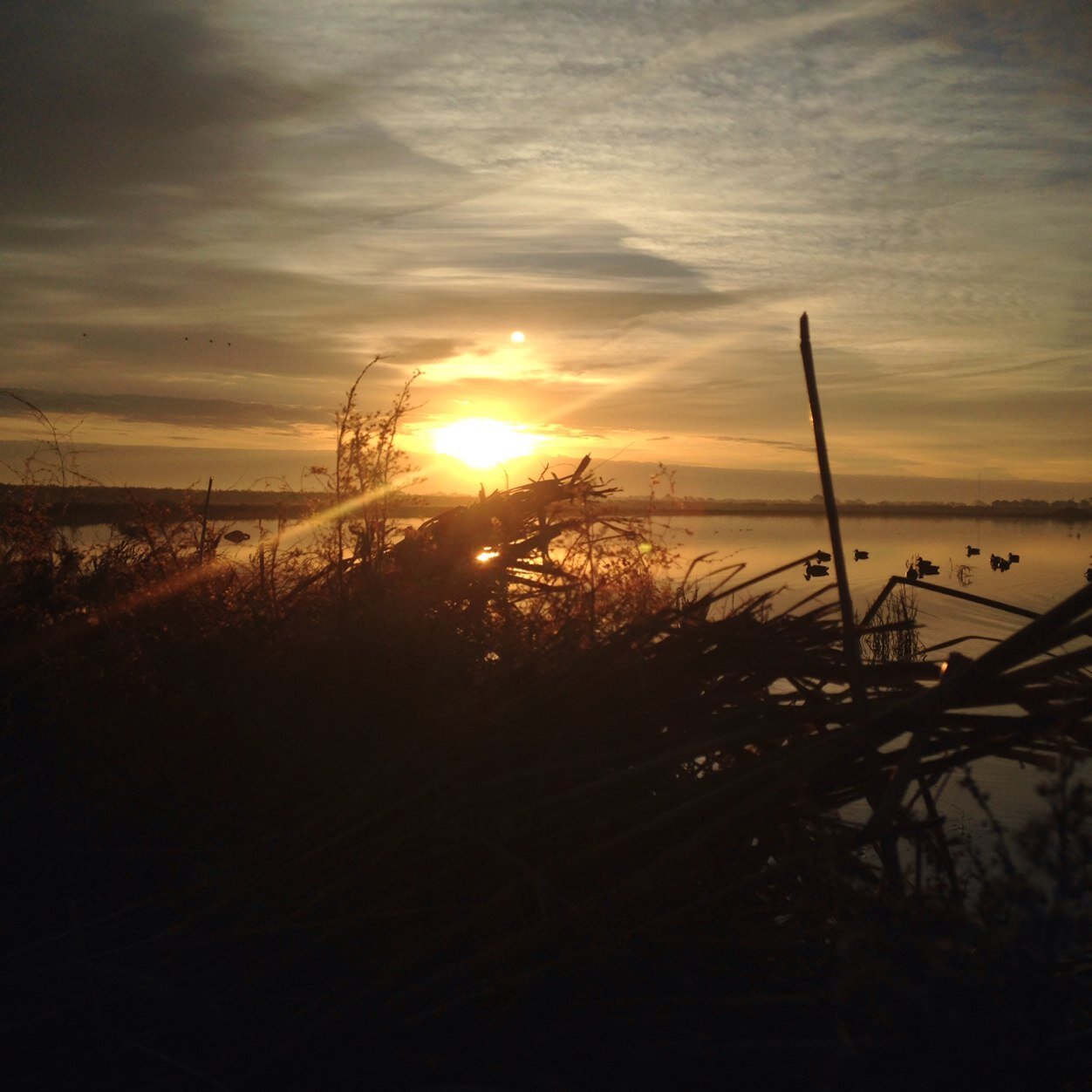 patwater2929's profile picture. Be still, and know that I am God Psalm 46:10