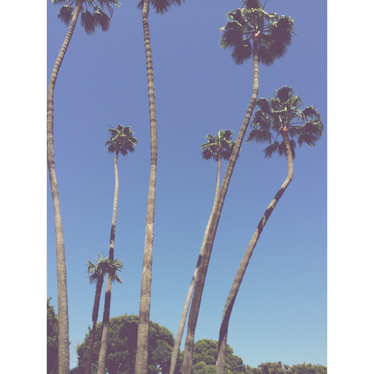 Ruthlesscloth_'s profile picture. 