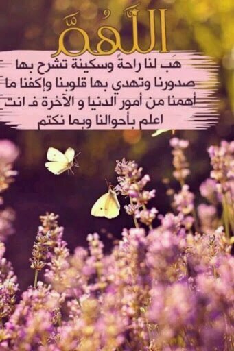 ‏‏‏حسآب خخآص '
-          للآدعيه والآذگآر -   صدقه جآريه عني وعنگم بأذن الله ~