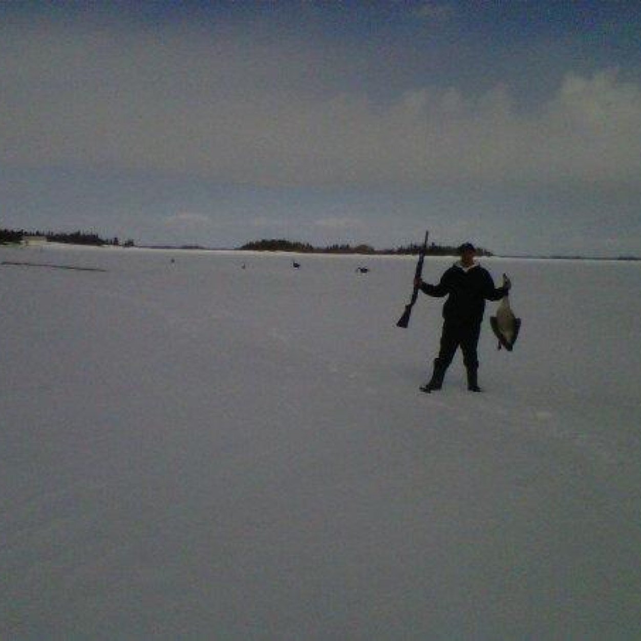 MSimpson36's profile picture. 