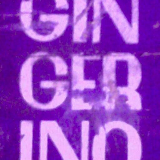 gingerinis's profile picture. 