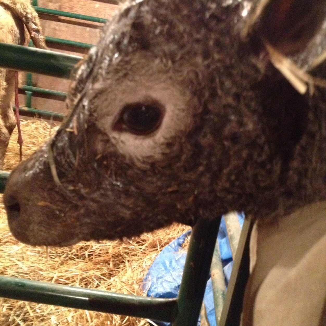 jn_krueger's profile picture. 