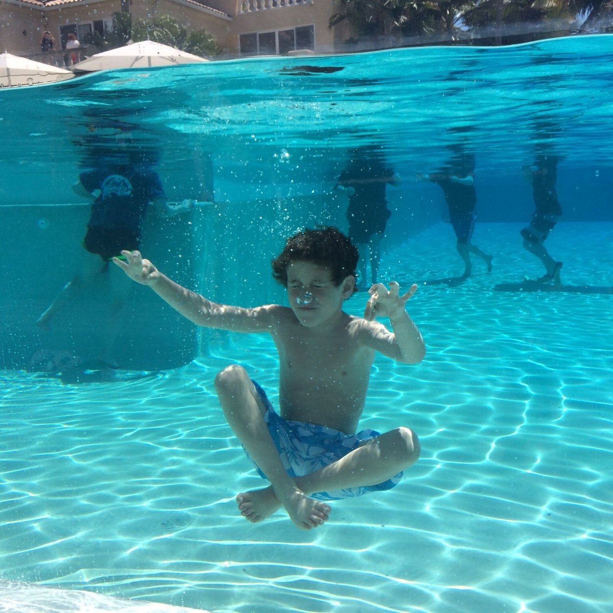 hogshire's profile picture. 