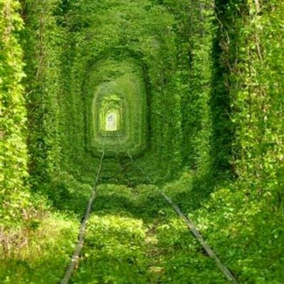 Erhan Iseri 12iseri Twitter twitter