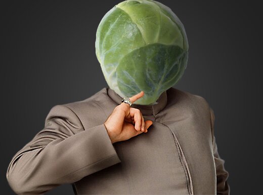 B. Russel Sprouts for President 2020 #SproutsForAmerica #AllChivesMatter