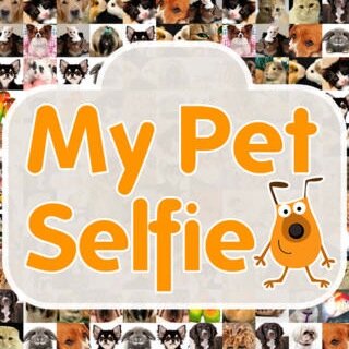 Download the FREE app and upload a selfie of your pet to the pet selfie wall