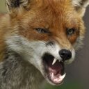 Jason Downer - @Jason_lcfc - Twitter