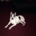 Marian long - @Marianl84560103 - Twitter