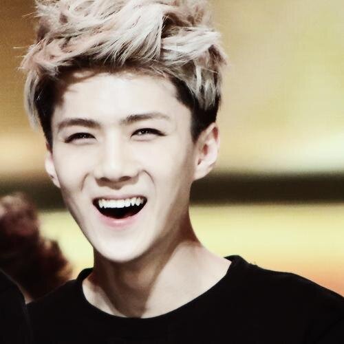 Free Follow ...... PLEASE FOLLOW BACK TO @_seomato_