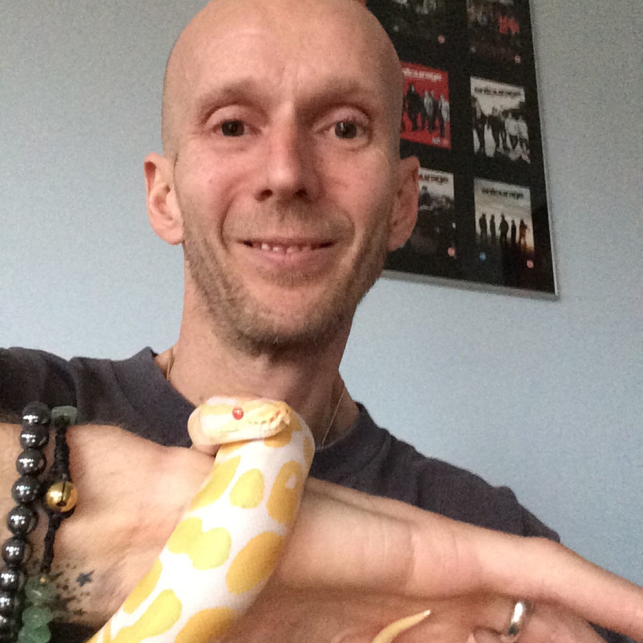 Retired National Hunt Jockey, Owner of Becks my Gold Dust Corn Snake, & Vince my High Contrast Albino & Lola The Bumble Bee Ball Pythons...Love my F1...GO JB!