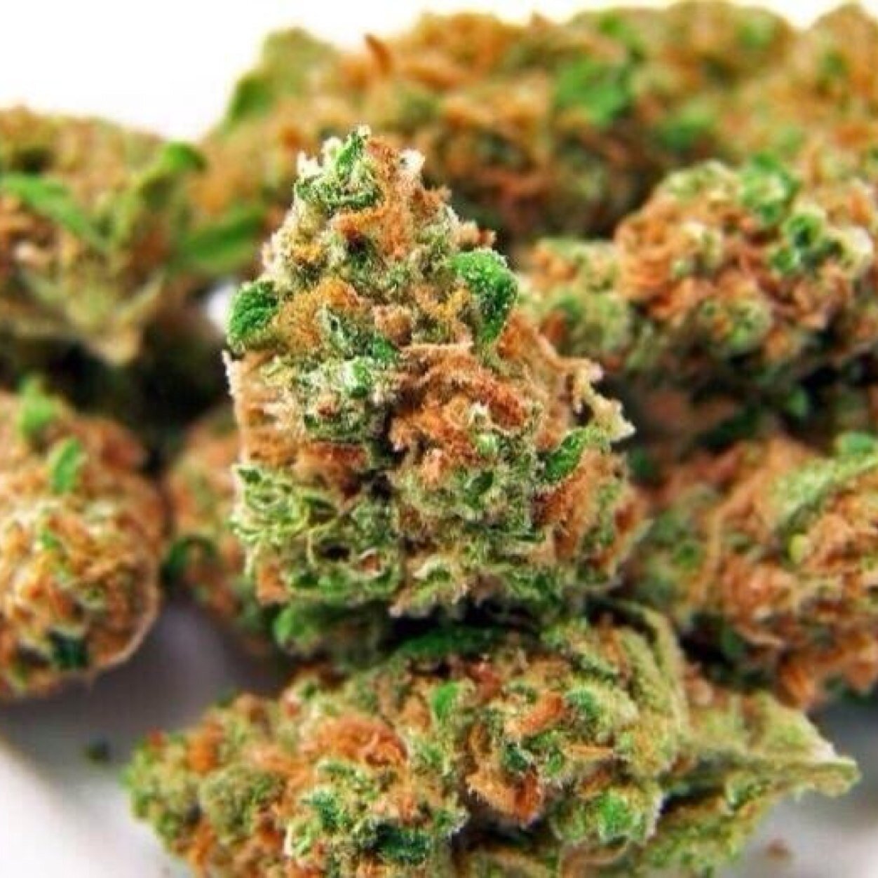 420hunna