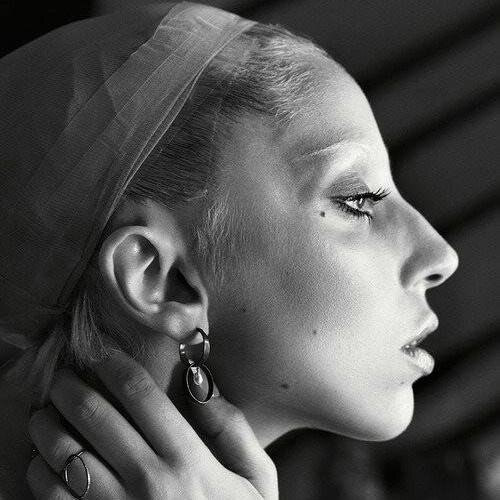 GagaTeamTurkey's profile picture. @muzikgercekleri