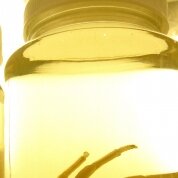 sothothery's profile picture. dear god no