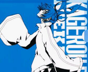 Surfer the internet, browsing anything that I like without limit! It's fun being inside the computer but it's feels gross too since it's master's. [KagePro RP]