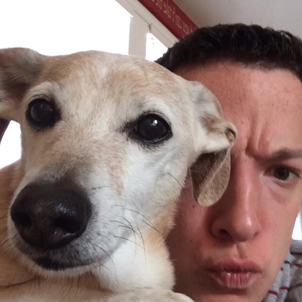 TooMuchByiegh's profile picture. Hi im Brennan, can you dig it like a spigget?