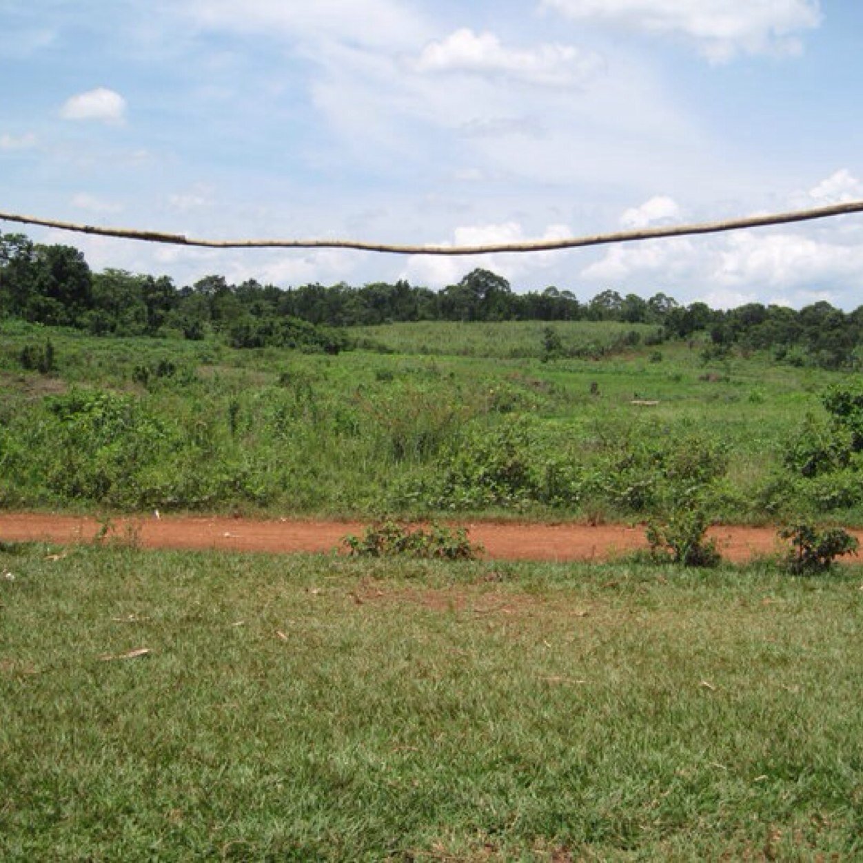 MattHyde2's profile picture. 