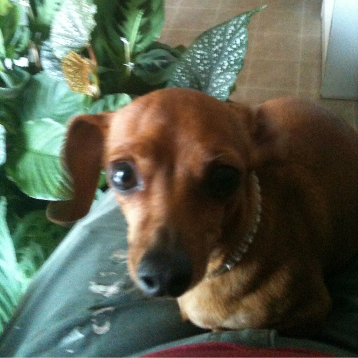 sodorff1's profile picture. Teach at Montrose Christian Academy
Have a handy woman business calledA Girl's Gotta Work
Love to sing