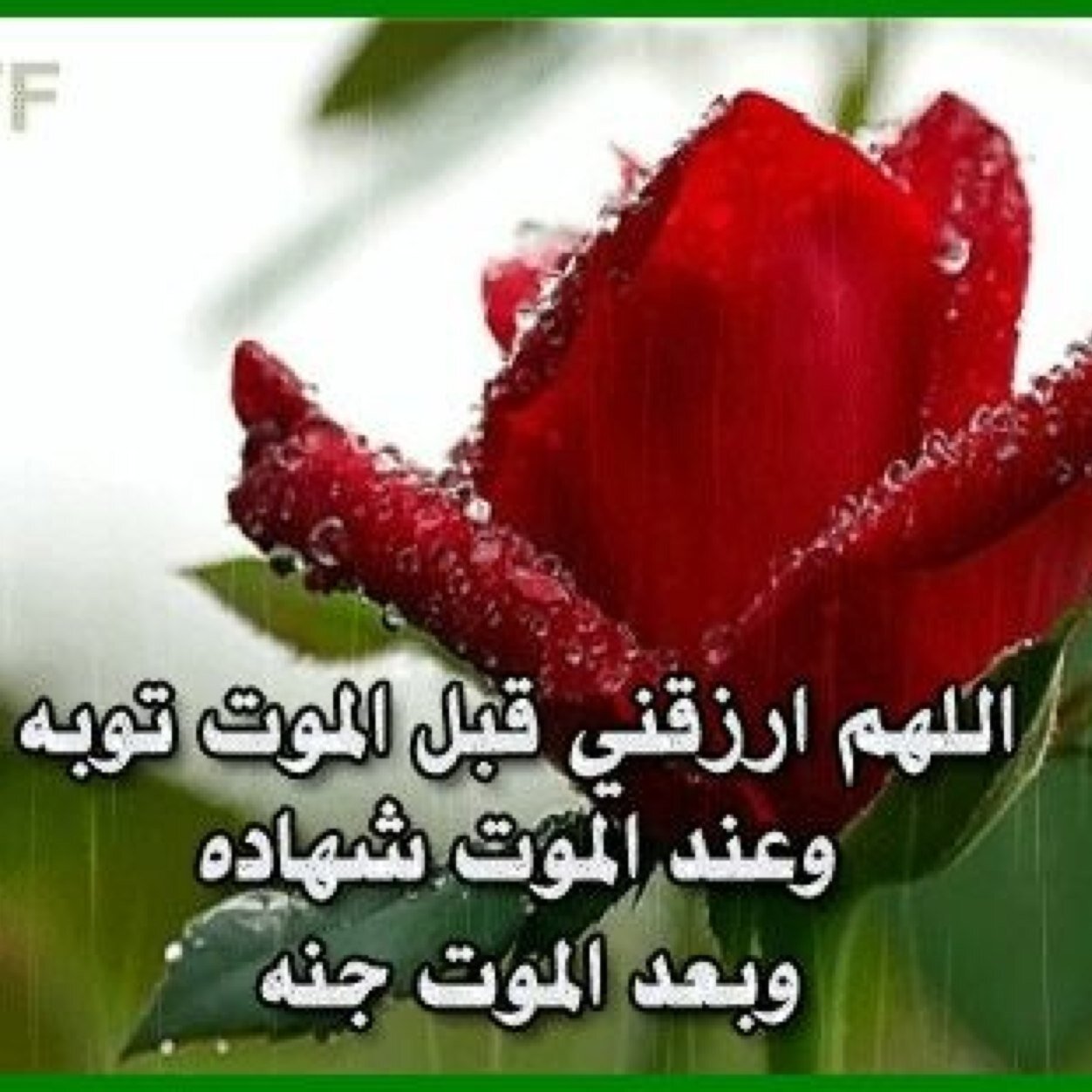 الصداقه الحقيقيه كالعلاقه بين العين واليد اذتالمت اليد دمعت العين واذادمعت العين مسحتهااليد