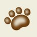 ぽち🐶🐾 (@pochiwan) Twitter profile photo ぽち🐶🐾 (@pochiwan) Twitter profile photo