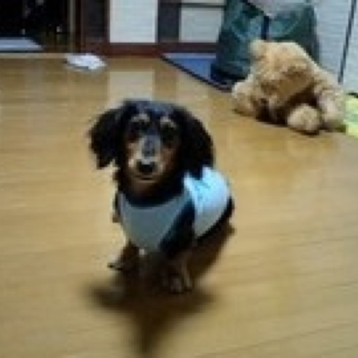 E8Saya's profile picture. 趣味や好きなことなどを発信予定。よろしくお願いします！
お習字はこちら→@nicoshuuji