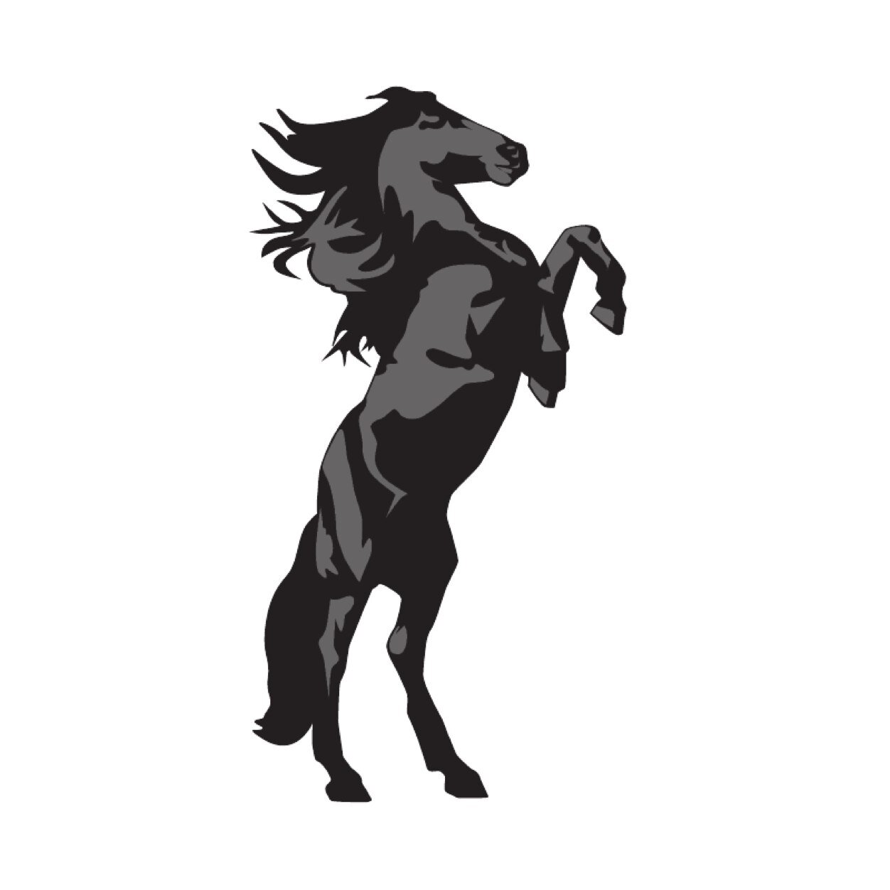 MightyCruisers Profile Picture