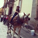 monica badillo  - @badillo_moni - Twitter