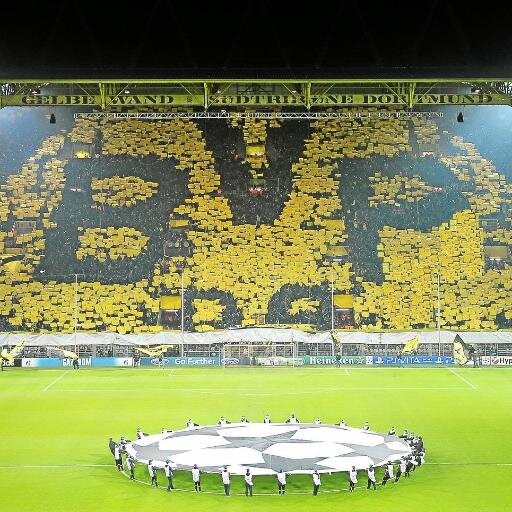 borussiapucela's profile picture. Official Borussia Pucela Twitter account.Liga Federacion de Peñas del Valladolid. Ultimos en la liga, primeros en los bares.