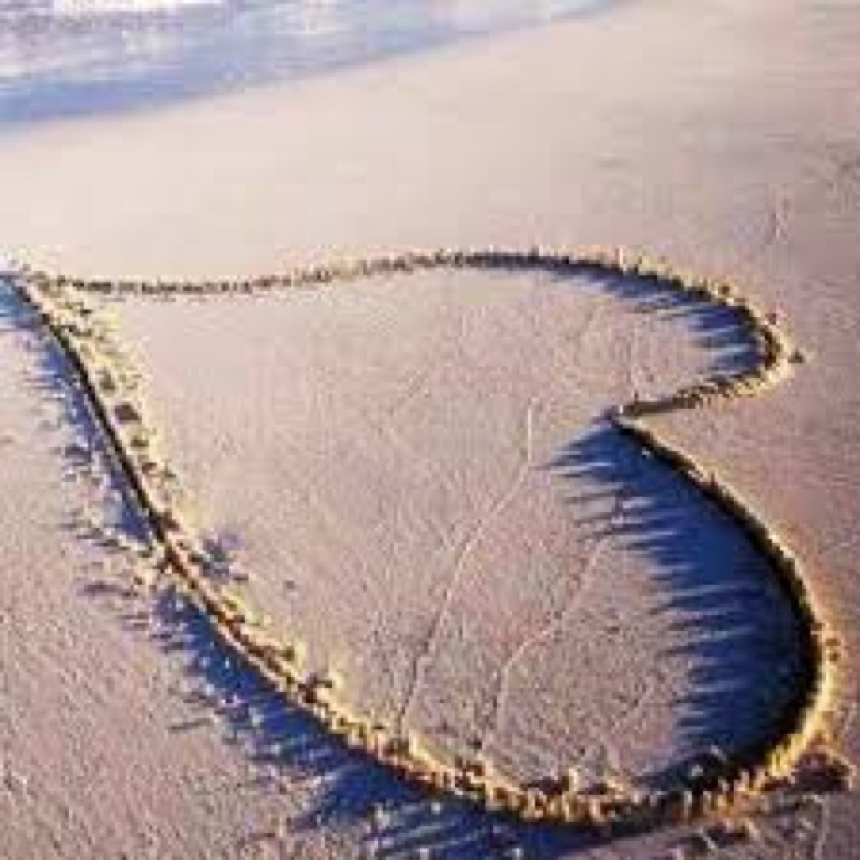 kireikireei's profile picture. 元美容垢。なぜか凍結されてたの復活！相変わらずがんばってます。猫との生活