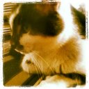 erin hungate - @HungateErin - Twitter