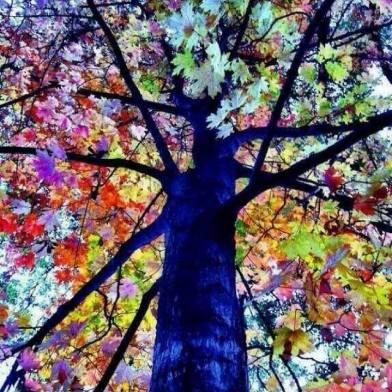 Make the most of everything because you dont know when the last goodbye is❤