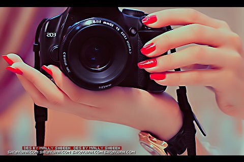 dobikofosyx's profile picture. 