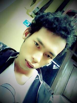 TheVolles's profile picture. 