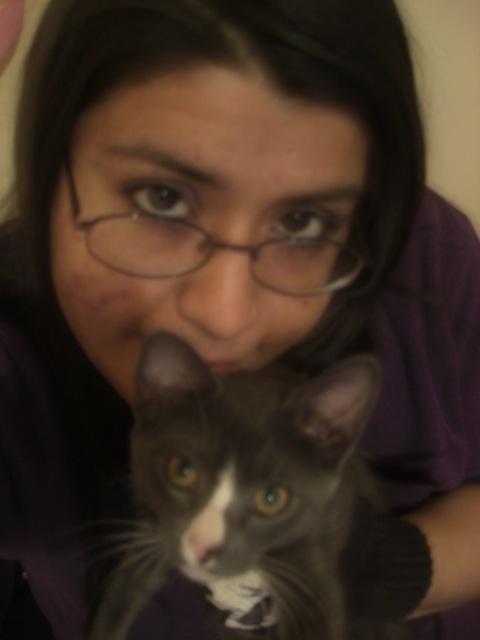 Robotica's profile picture. 