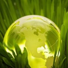 Mundo Verde Mor A,C es un movimiento activo para el cuidado del medio ambiente, con la propuesta de siembra, cosecha, consume y sus relaciones con las plantas.