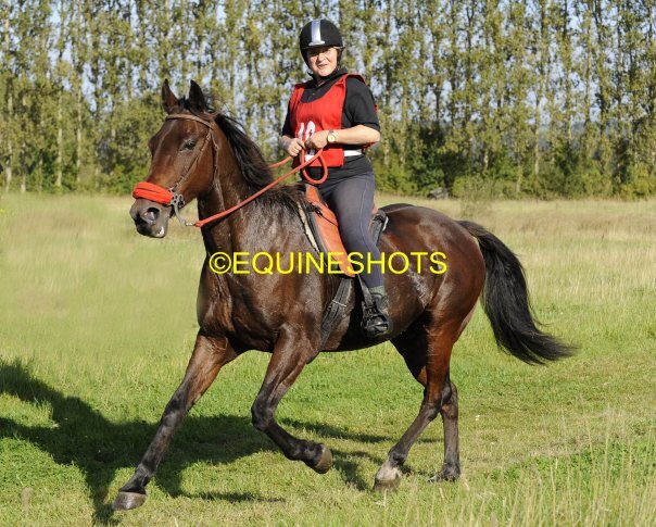 Owner and designer of Rollabucket  http://t.co/VLxxewZ5ny, easy water transportation, the product Equestrians have been waiting for!