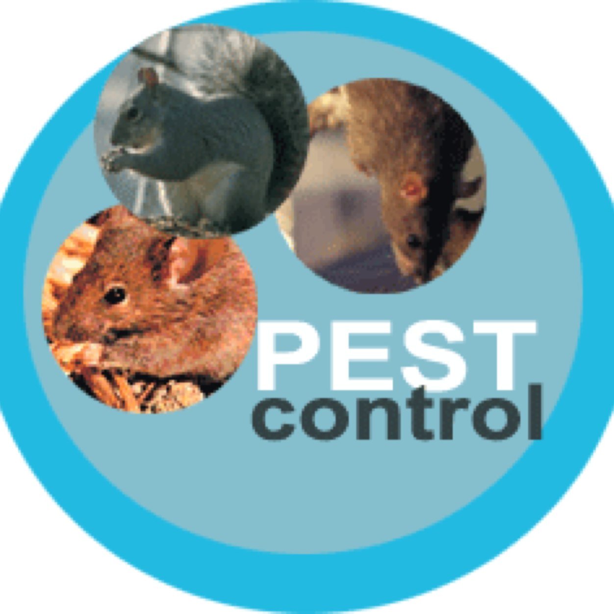North east pest control company offering range of pest eradication/control services including: rodents, insects, bees & wasps. SAME DAY SERVICE!!
