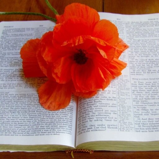 For I know the plans I have for you, declares the Lord, plans to prosper you and not to harm you, plans to give you hope and a future. -Jeremiah 29:11