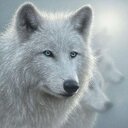 KATHY MANESS - @KATHYMANESS1 - Twitter